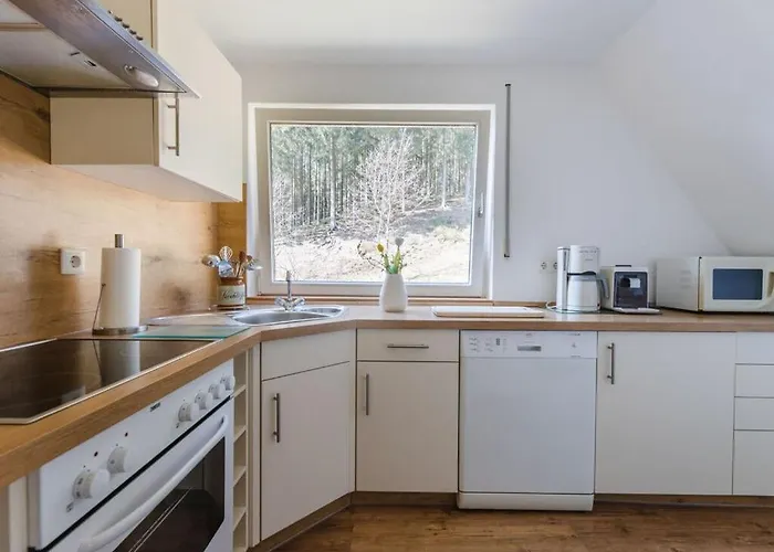 Dreamy Near Forest 埃斯洛黑