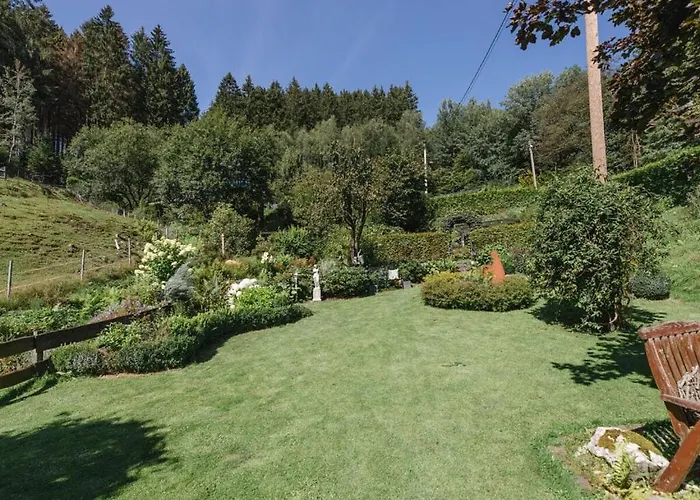 Dreamy Near Forest *